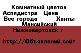 Комнатный цветок Аспидистра › Цена ­ 150 - Все города  »    . Ханты-Мансийский,Нижневартовск г.